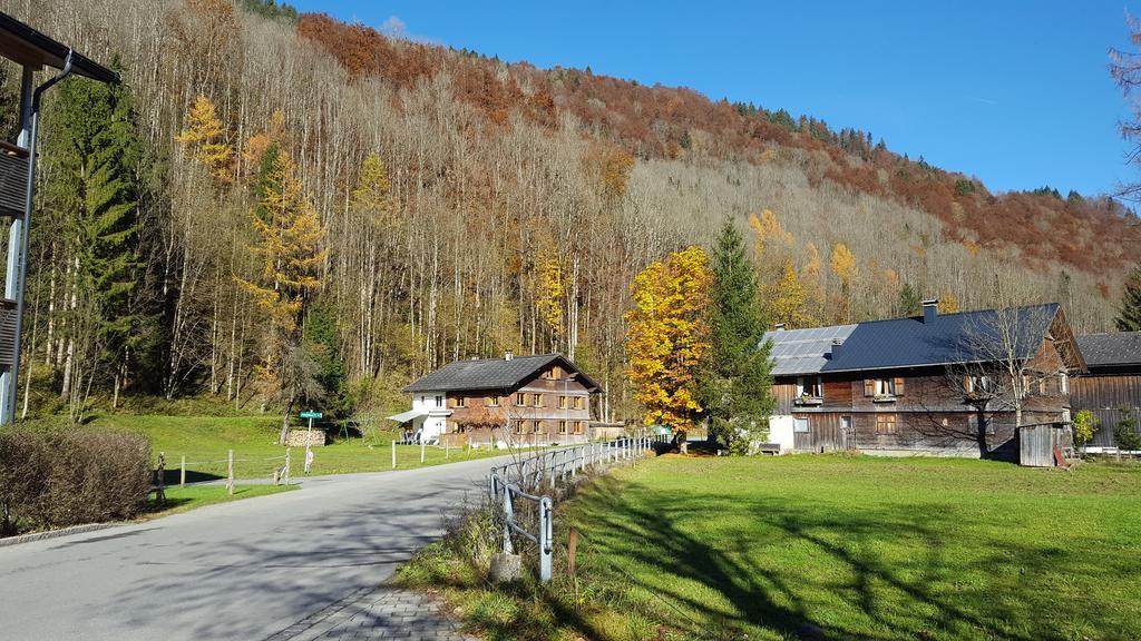 Apartment Haus Jelini *